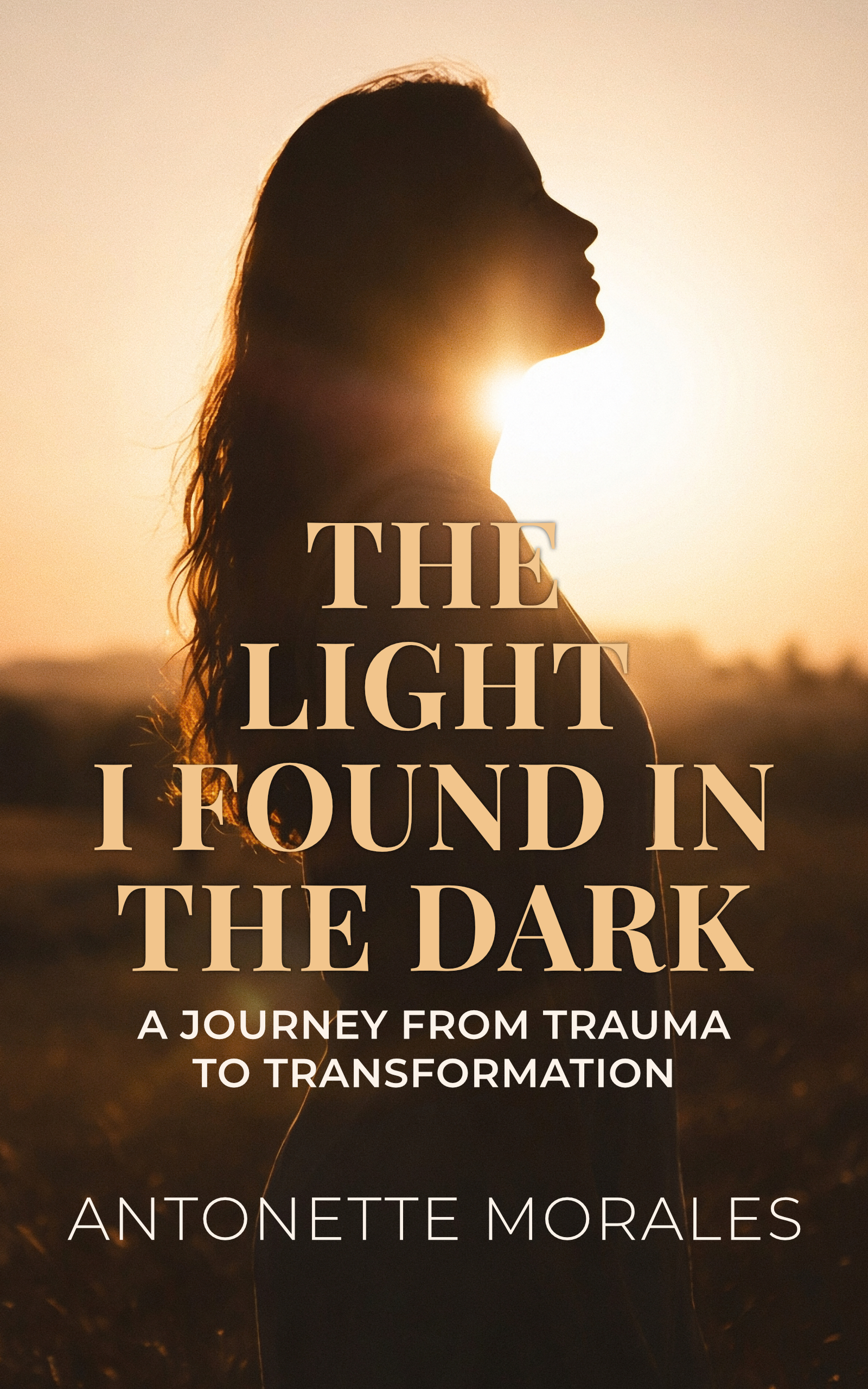 Book cover for The Light I Found in the Dark